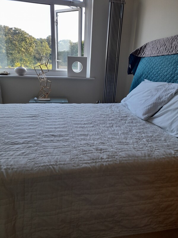 Deluxe Room(Full Room) - 1
