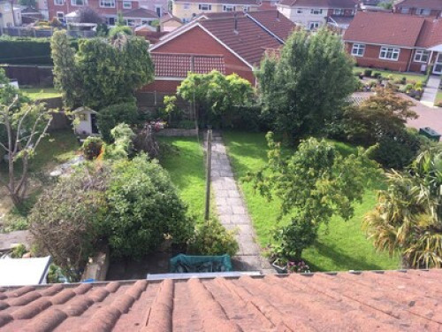 airy-and-bright-house-bristol-190149616620240815021804AM