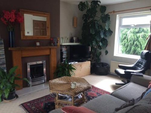 airy-and-bright-house-bristol-93221384420240815021814AM