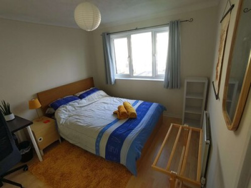 comfy-double-room-near-the-centre-bristol-128901734920240815022318AM