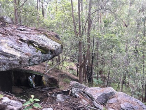 Bush retreat -  beautiful bus