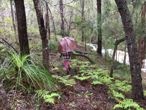 Bush retreat -  beautiful bus