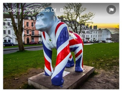 experienced-host-family-in-bristol-bristol-101232638420240815022823AM