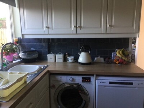 experienced-host-family-in-bristol-bristol-164479469820240815022755AM