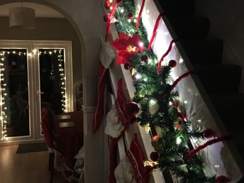 Experienced host family in Bristol 
