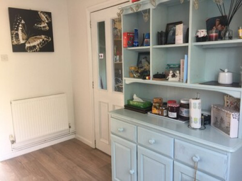experienced-host-family-in-bristol-bristol-198074533520240815022802AM