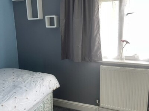experienced-host-family-in-bristol-bristol-204889907820240815022938AM