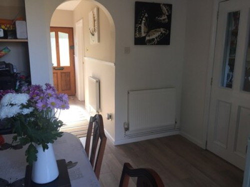 experienced-host-family-in-bristol-bristol-31677859420240815022758AM