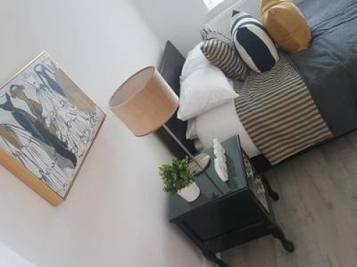 cwtchy-house-self-contained-house-cardiff-87675519820240815023056AM