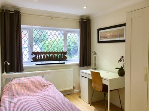 probably-cardiffs-best-single-room-cardiff-117543603820240815023320AM