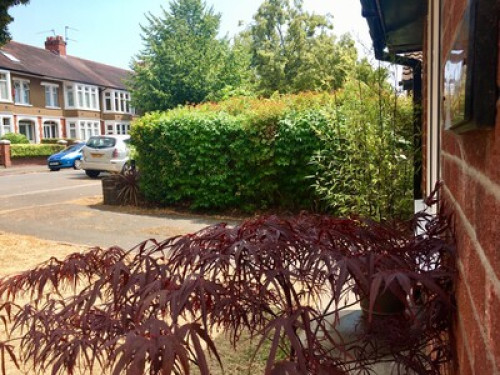 probably-cardiffs-best-single-room-cardiff-32563286620240815023317AM