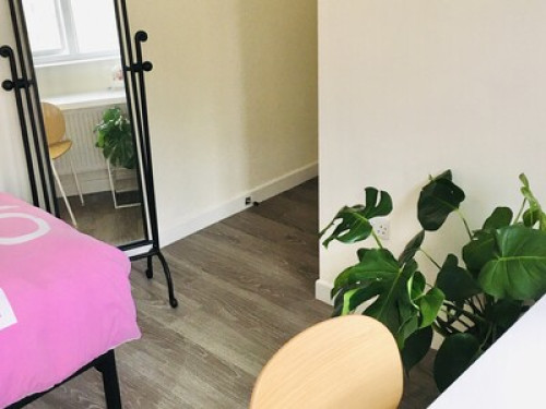 lovely-single-room-with-garden-view-cardiff-10266794920240815023526AM