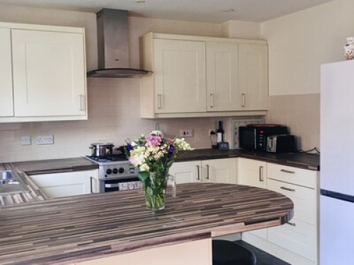 lovely-single-room-with-garden-view-cardiff-142062731820240815023527AM