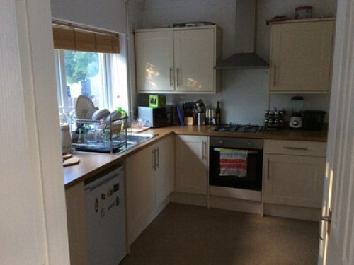 friendly-near-city-centre-cardiff-102897306520240815023553AM