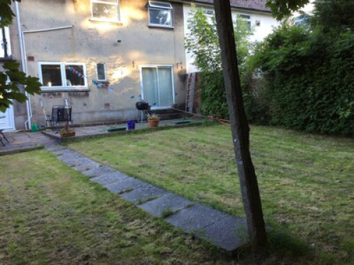friendly-near-city-centre-cardiff-24024464720240815023554AM