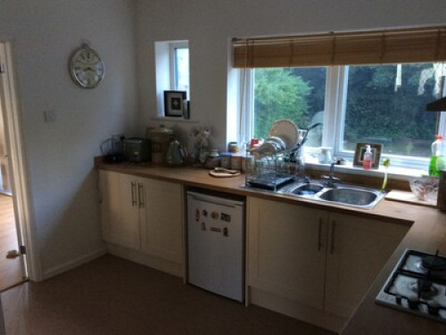 friendly-near-city-centre-cardiff-26355481520240815023553AM