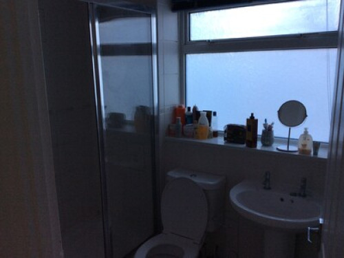 friendly-near-city-centre-cardiff-70402039520240815023554AM