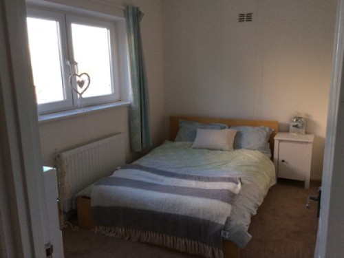 friendly-near-city-centre-cardiff-83666194520240815023555AM