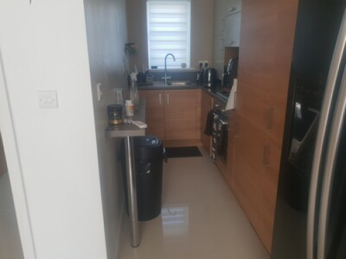 Vibrant room  - Gallery -  5