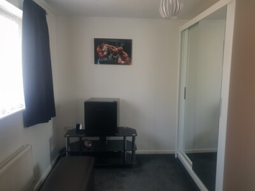 Vibrant room