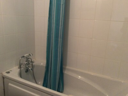 Fun family loves shopping and park