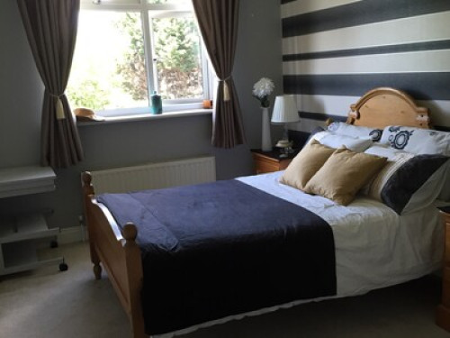 Very helpful, friendly caring host