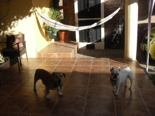 ENERGÍA EN LA MITAD DEL MUNDO