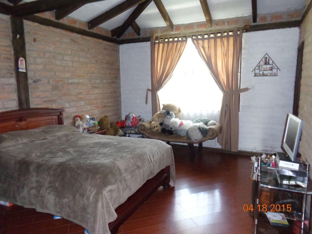 Room Pucahuaico(Full Room) - 1