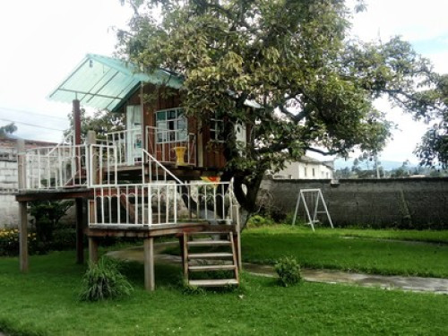 HOMESTAY - The Tree House - Gallery - 14