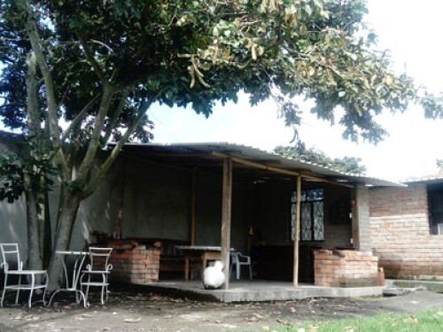 HOMESTAY - The Tree House - Gallery - 21