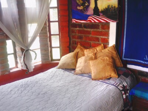 HOMESTAY - The Tree House