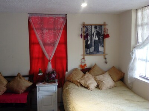 HOMESTAY - The Tree House