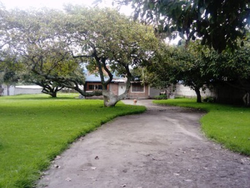 HOMESTAY - The Tree House - Gallery - 13