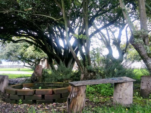 HOMESTAY - The Tree House