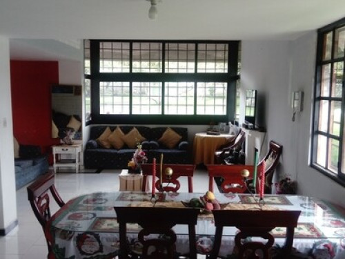 HOMESTAY - The Tree House - Gallery - 23