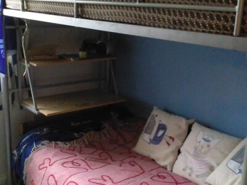 Friendly family in Hemel Hempstead FEMALES ONLY - Gallery - 11