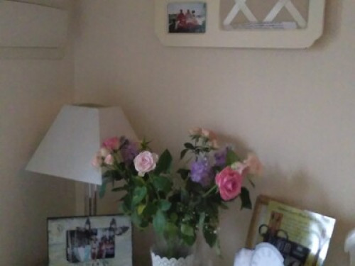 Friendly family in Hemel Hempstead FEMALES ONLY  - Gallery -  5