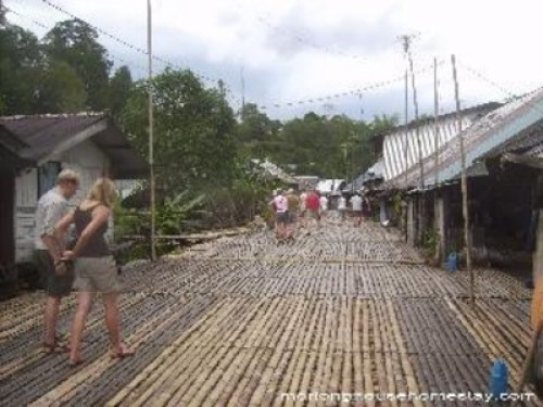 Love gardening in Kuching