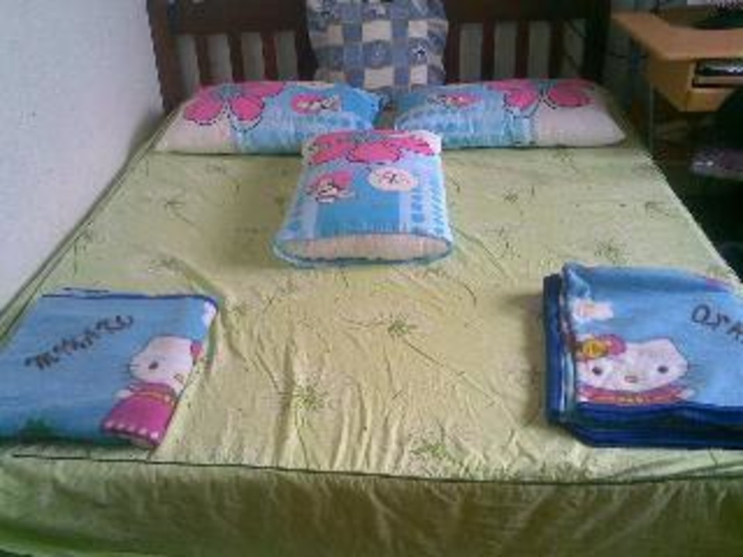 Room 1(Single Bed) - Love gardening in Kuching - Gallery - 1