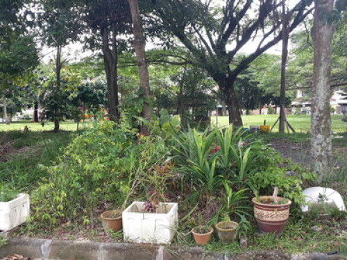 Nice to meet friend from the world