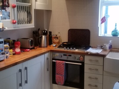 Friendly English Family - Gallery - 29
