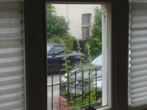 veggie/vegan quiet period house - Gallery - 12
