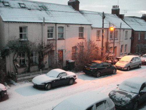 veggie/vegan quiet period house - Gallery - 6