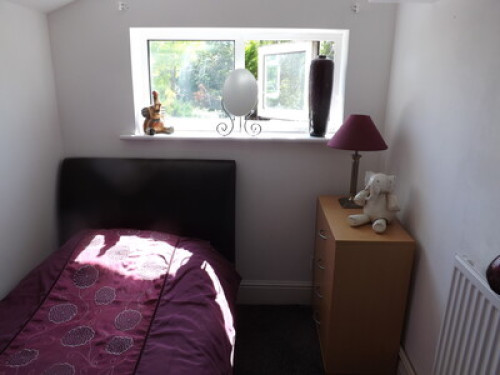 sailing,surfing and seafood. 