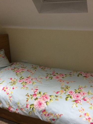 Friendly family in Kidlington OX5! - Gallery - 10