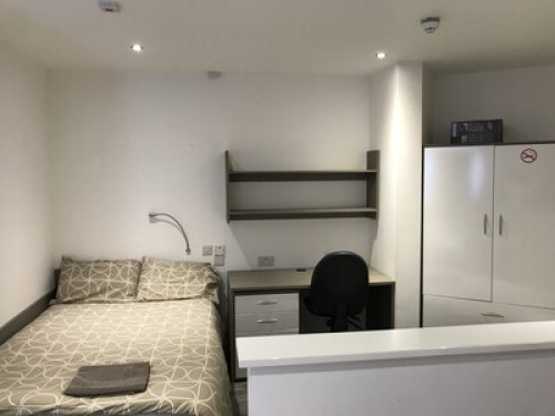 SPI Castle Apartments - Gallery - 30