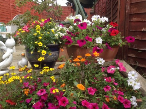 Castle Hedge Home 5min from  Milton