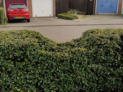 Castle Hedge Home 5min from  Milton