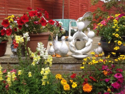 Castle Hedge Home 5min from  Milton  - Gallery -  5