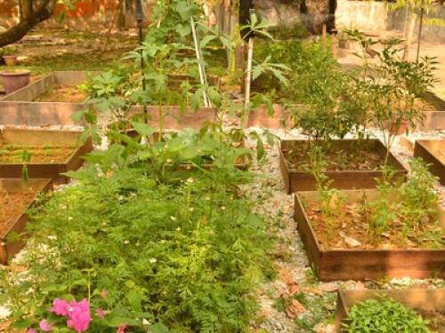 Nature and Eco Retreat - Akar Lima